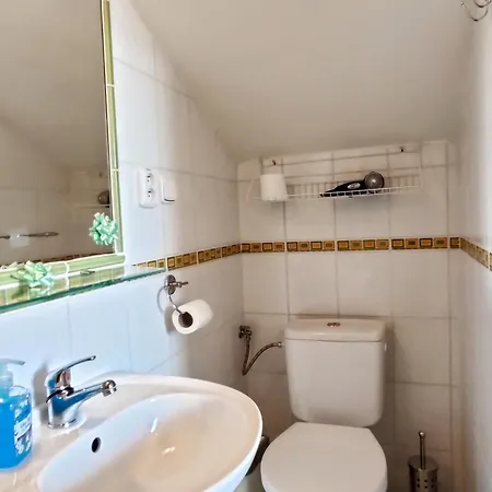 Real Paradise 게스트하우스 3*