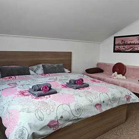 Real Paradise 스미자니