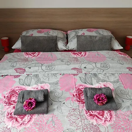 게스트하우스 Real Paradise