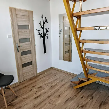 Real Paradise 게스트하우스