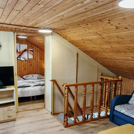 Real Paradise 스미자니